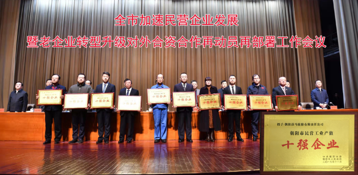 恭賀朝陽浪馬輪胎有限責(zé)任公司榮獲朝陽市民營工業(yè)產(chǎn)值“十強(qiáng)企業(yè)”